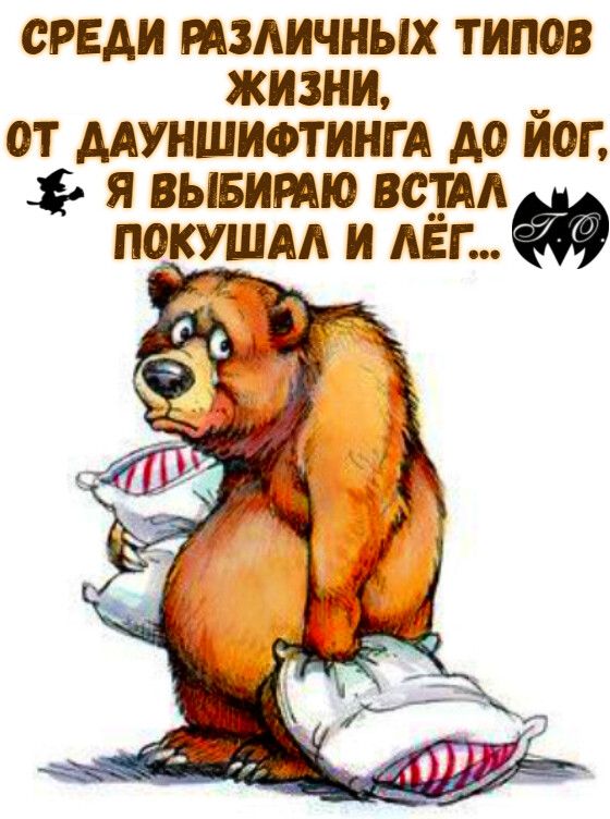 Среди различных типов жизни,  от дауншифтинга до йог,  я выбираю встал покушал и лёг..