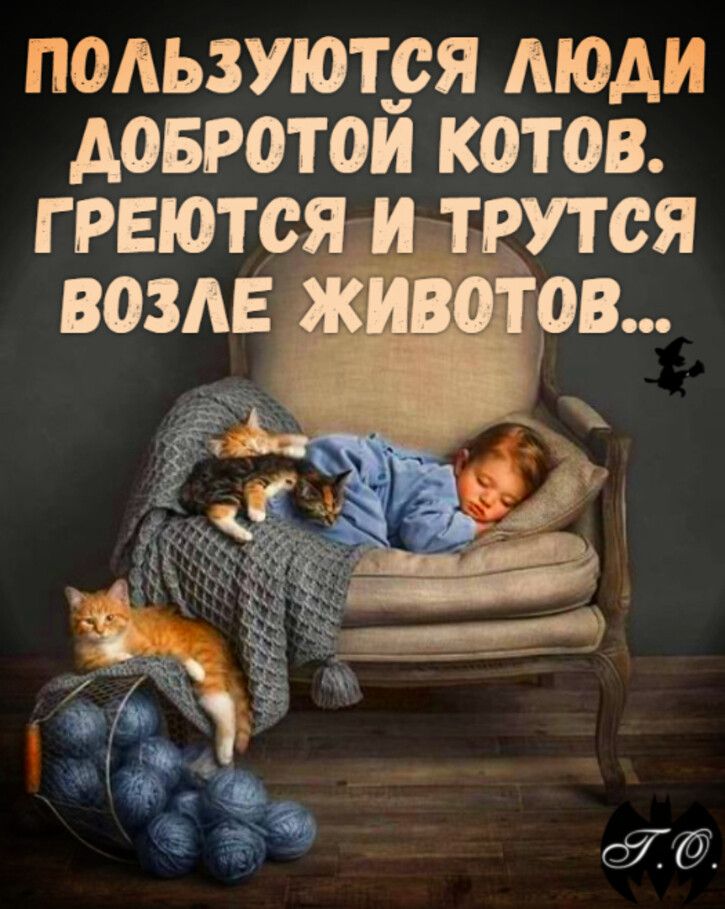 ПОАЬЗУЮТЁЯ АЮАИ АОБРОТОЙ КОТОВ