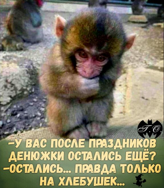 Ос'паись... Праваа только на хлебушек...