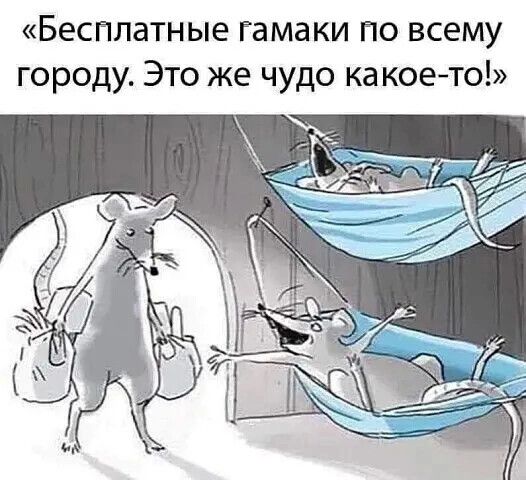 «бесплатные гамаки по всему городу. Это же чудо какоето!»