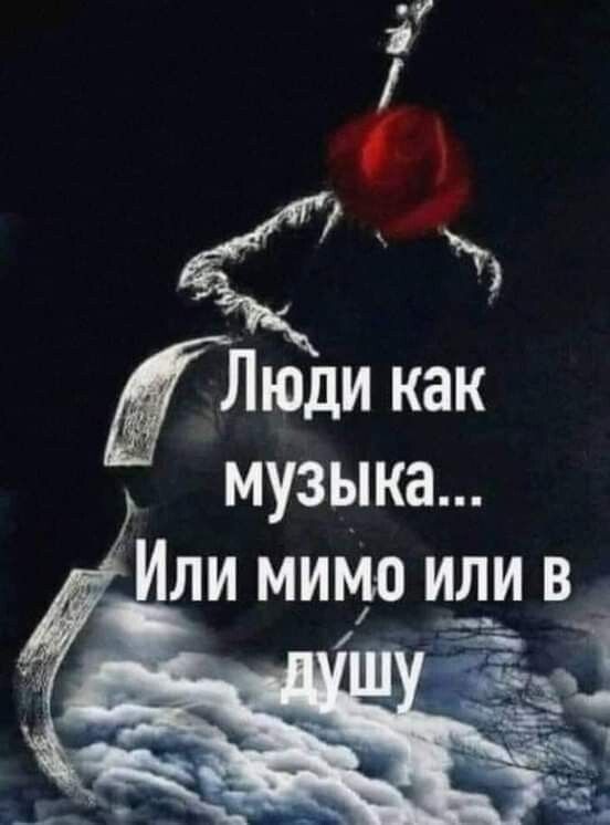 люди как музыка... Или мимо или в, с
