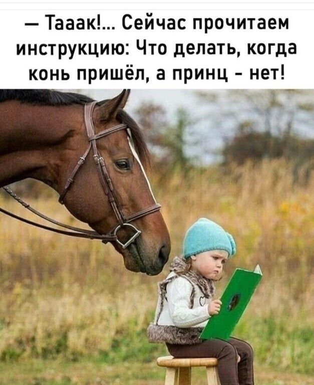Тааак Сейчас прочитаем инструкцию Что делать когда конь пришёл а принц нет