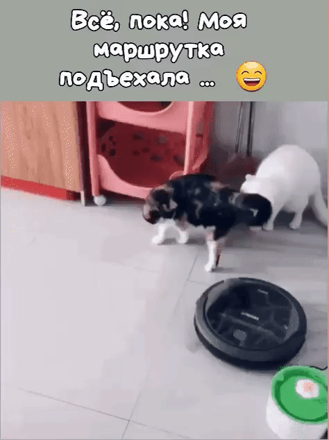 ршруткт Ч