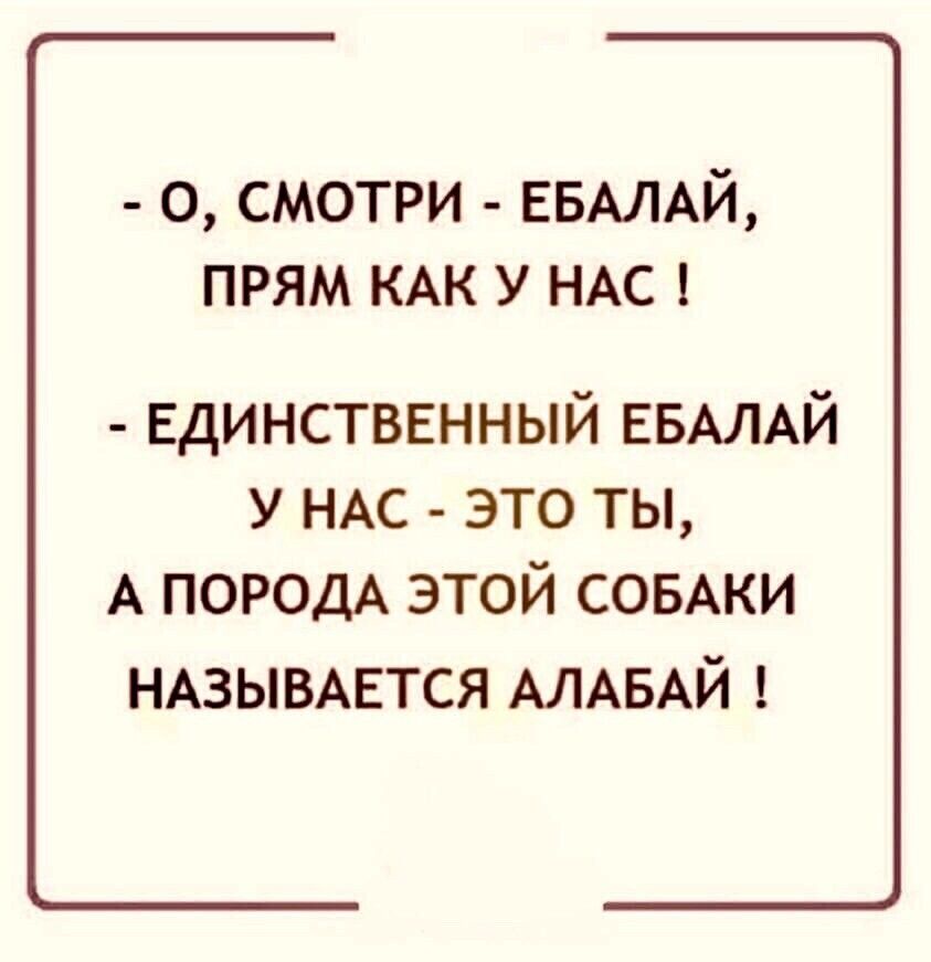 о смотри ЕБАЛАЙ прям КАК у НАС Единственный ЕБАЛАЙ у НАС это ты А ПОРОДА этой СОБАКИ НАЗЫВАЕТСЯ АЛАБАЙ