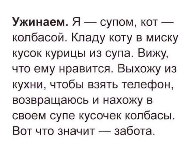 Ужинаем Я супом кот колбасой Кпаду коту в миску кусок курицы из супа Вижу что ему нравится Выхожу из кухни чтобы взять телефон возвращаюсь и нахожу в своем супе кусочек колбасы Вот что значит забота