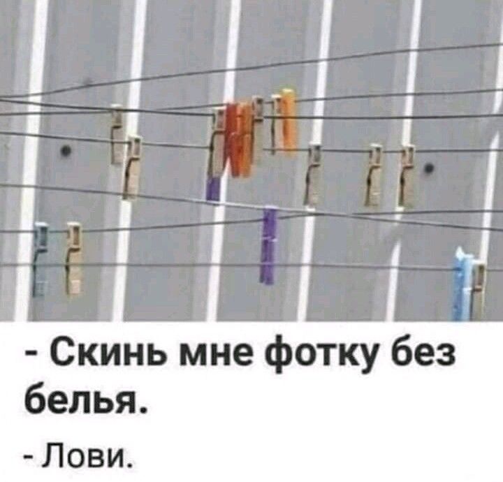 3 е 6 ш 0 Ф е и м ь н С белья Лови