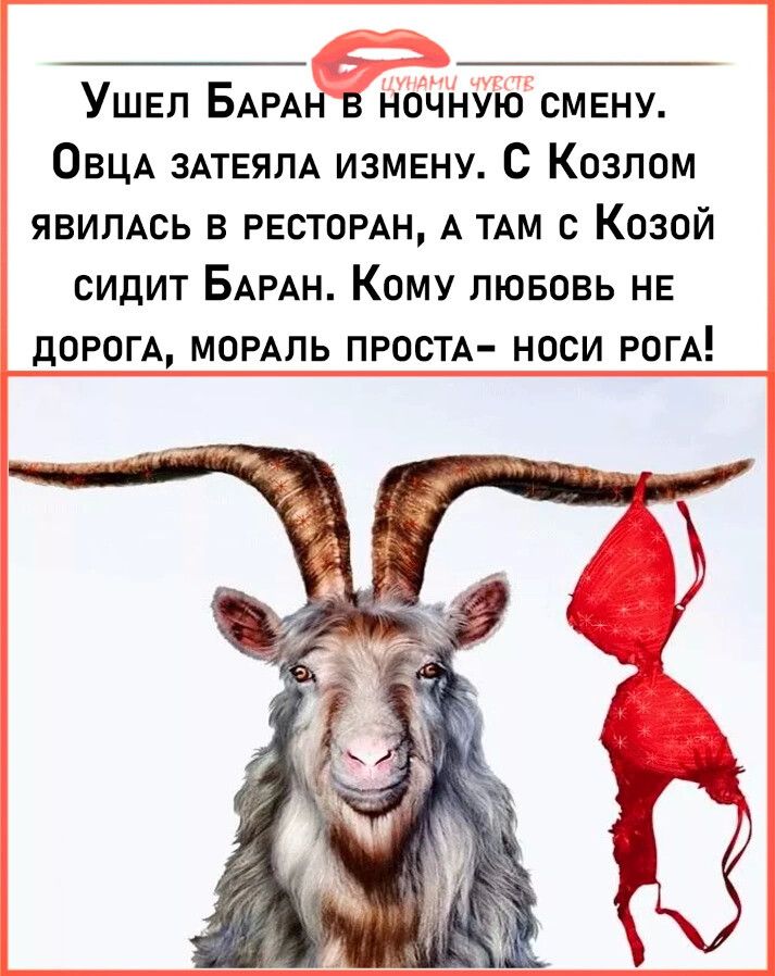 Ушвл БАРАН в ночную смвну ОВЦА ЗАТЕЯЛА измвну С Козлом ЯВИЛАСЬ в рестомн А ТАМ с Козой сидит БАРАН Кому лювовь НЕ дОРОГА МОРАЛЬ ПРОСТА носи РОГА