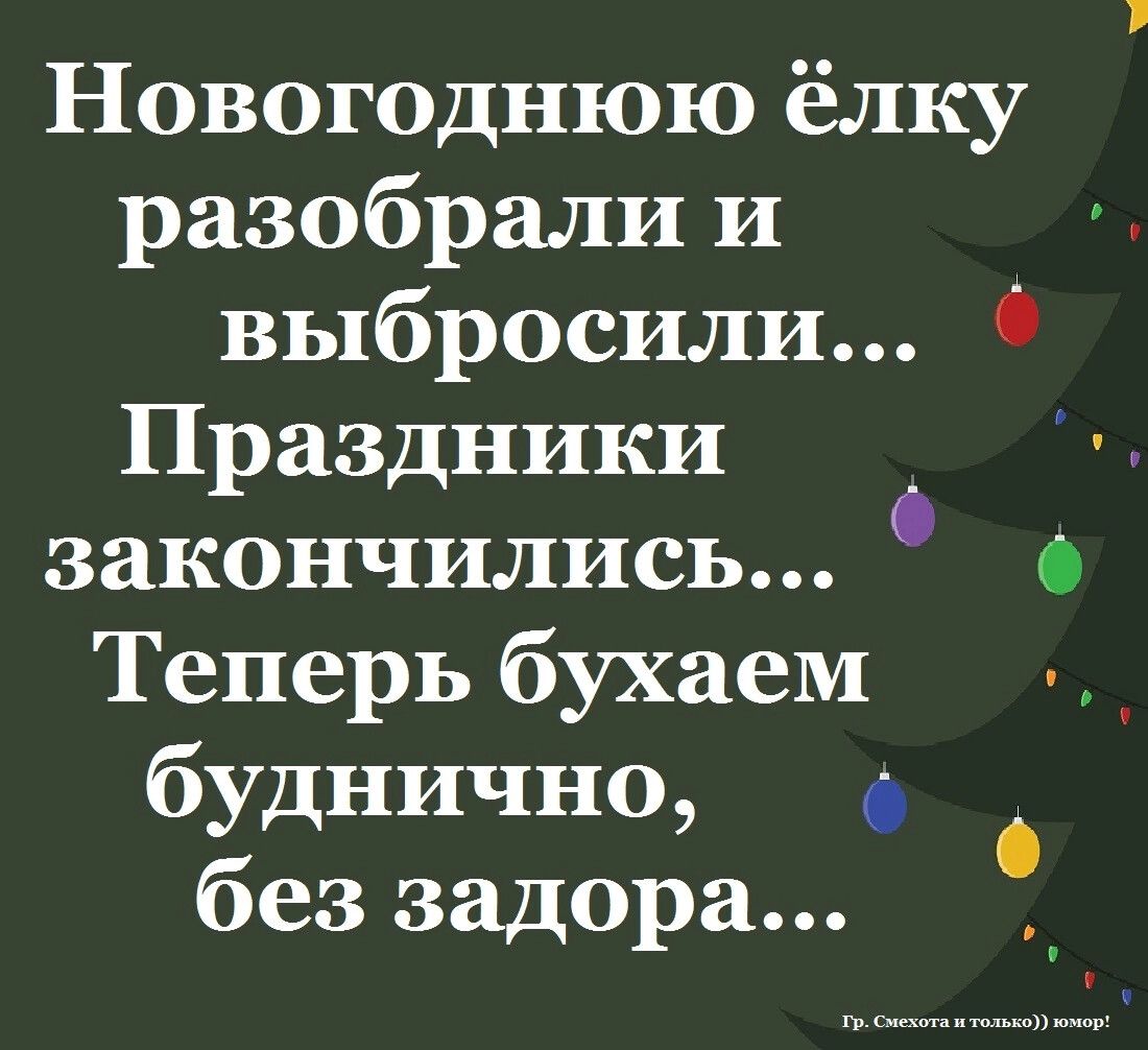 Новогоднюю ёлку разобраЛИ11 и выбросили Праздники _ закончились Теперь бухаем буднично беззадора Гр Смекта и только юмор