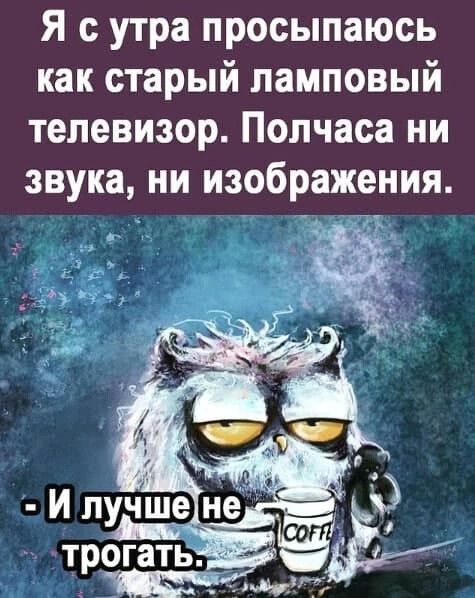 Я с утра просыпаюсь как старый ламповый телевизор Полчаса ни звука ни изображения И лучш трогатьвт или ЁЁ