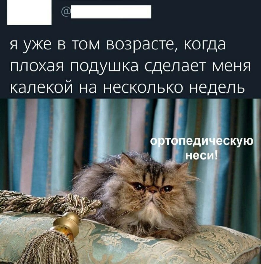 я уже в том возрасте когда плохая подушка сделает меня калекой на несколько недель