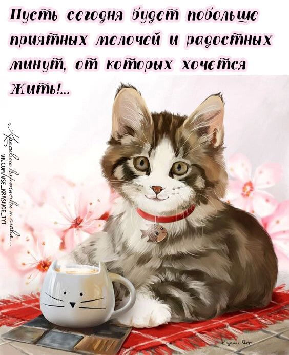 Пусть сегодня буувт побольше приятных мелочей и радостных минут от которых хочется