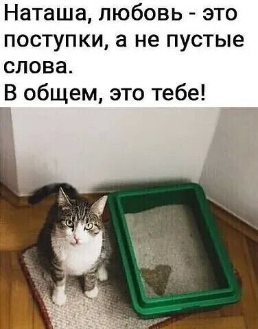 Наташа любовь это ПОСТУПКИ а не пустые слова 13 общем это тебе у Ъ
