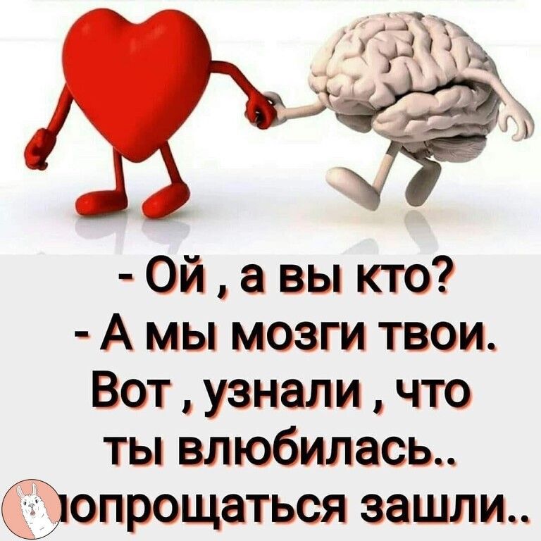 333 ЪД Ой а вы кто А мы мозги твои Вот узнали что ты влюбилась Запрещаться зашли