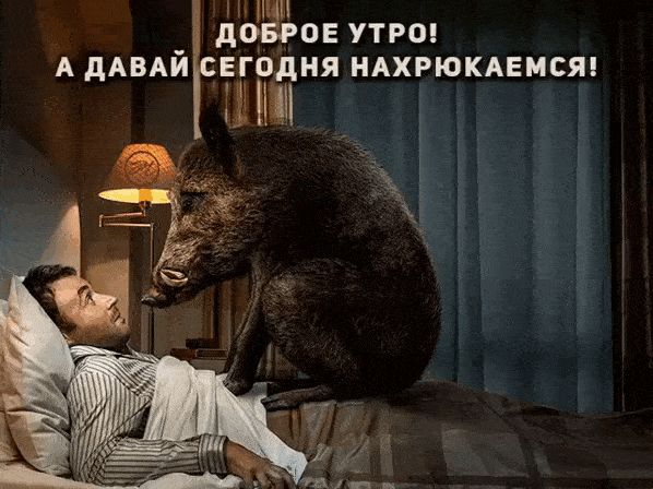 и и до ОЕ УТРО А дАВАЙ ЕГОДНЯ НАХРЮКАЕМСЯ Ш И 1