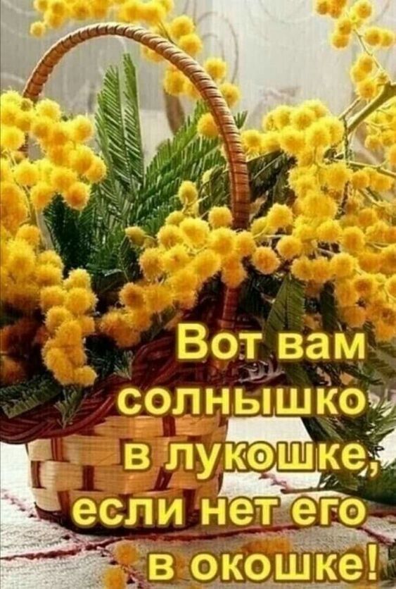 Во. Вс.гл солпыцкоч в л
