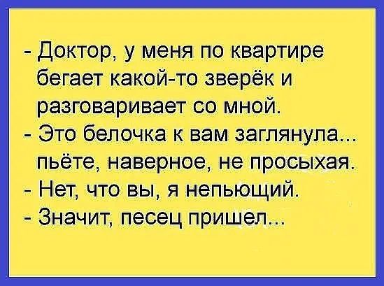 доктор, у меня по квартире бегает какойто зверёк и разговаривает со мной.  Это белочка к вам заглянула... Пьёте, наверное, не просыхая.  Нет, что вы, я непьющий.  Значит, песец пришел...