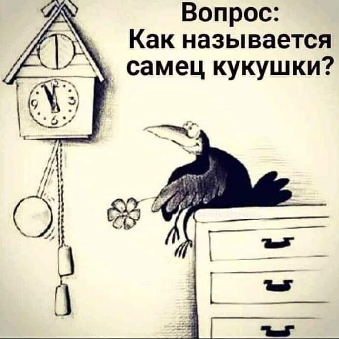 Вопрос Как называется самец кукушки