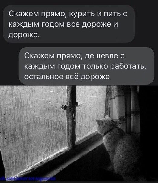 Скажем прямо курить и пить с каждым годом все дороже и дороже Скажем прямо дешевле с каждым годом только работать остальное всё дороже