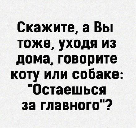 Скажите а Вы тоже уходя из дома говорите коту или собаке Остаешься за главного