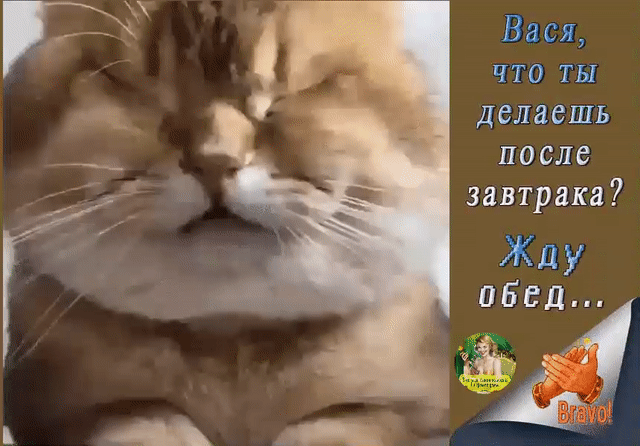 Вася ЧТО ТЫ делаешь после завтрака Жду обед