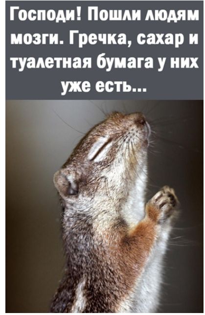 Господи Пошли людям мозги Гречка сахар и туалетная бумага у них