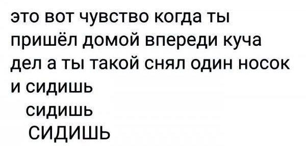 это вот чувство когда ты пришёл домой впереди куча дел а ты такой снял один носок и сидишь сидишь СИДИШЬ