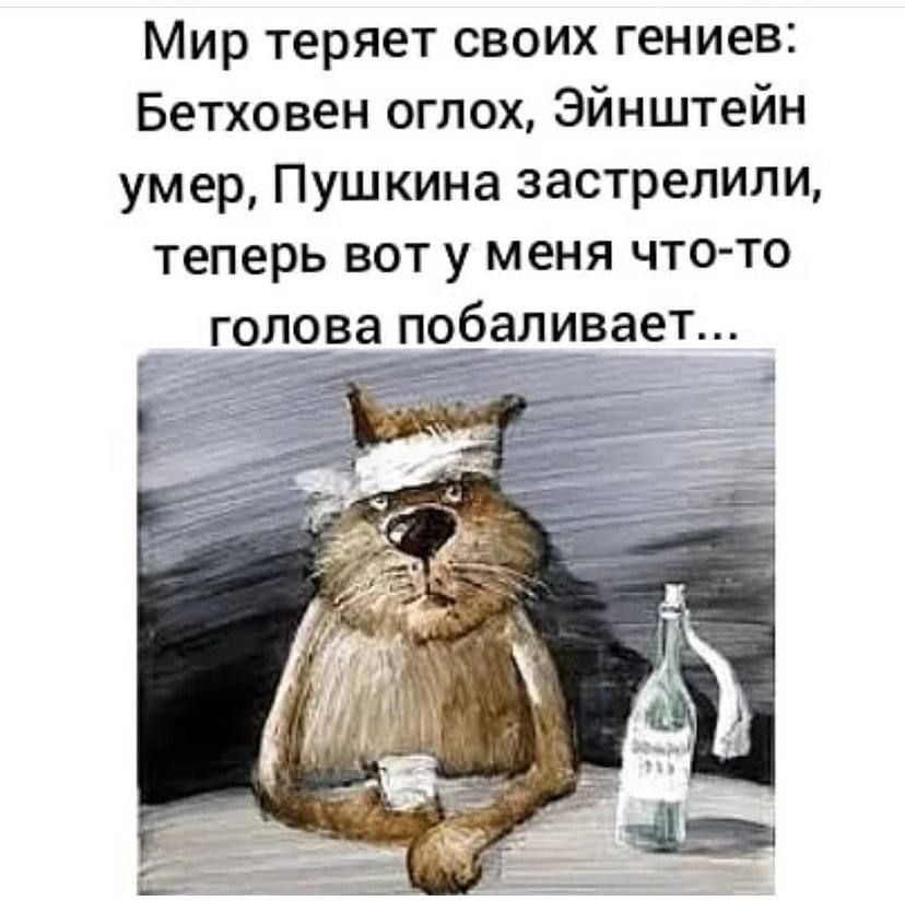 Мир теряет своих гениев Бетховен оглох Эйнштейн умер Пушкина застрелили теперь вот у меня что то