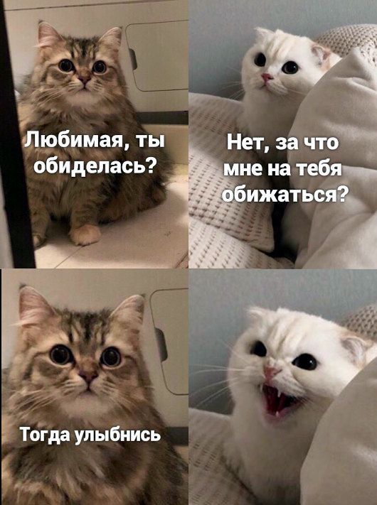 бочййя т о идепась