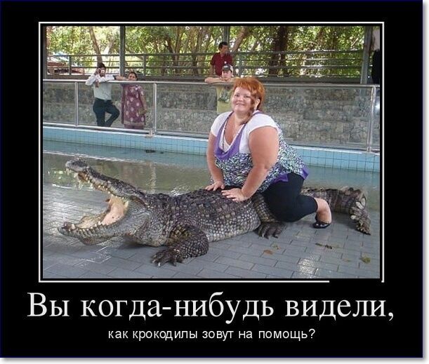 Вы когданибудь видели как крокодилы зовут на помощь