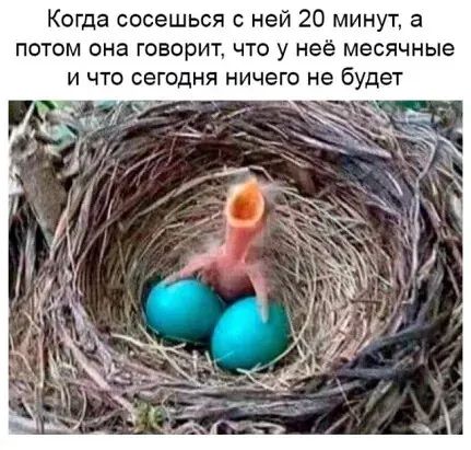 Когда сосешься ней 20 минут а потом она говорит что у неё месячные и что сегодня ничего не будет