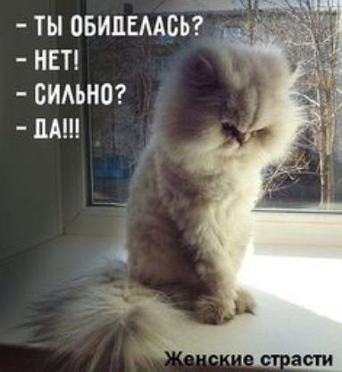 ТЫ ОБИПЕААСЬ НЕТ СИАЪНО ПА