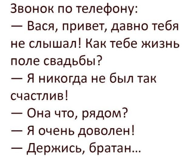 Звонок по телефону Вася привет давно тебя не слышал Как тебе жизнь поле свадьбы Я никогда не был так счастлив Она что рядом Я очень доволен Держись братан