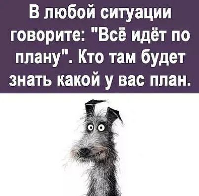 В любой ситуации говорите Всё идёт по плану Кто там будет знать какой у вас план