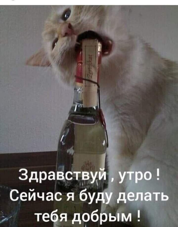 П Здравствуй утро Сейчас я буду делать тебя добрым
