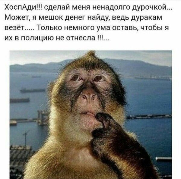 ХоспАди сделай меня ненадолго дурочкой Может я мешок денег найду ведь дуракам везёт Только немного ума оставь чтобы я их в полицию не отнесла