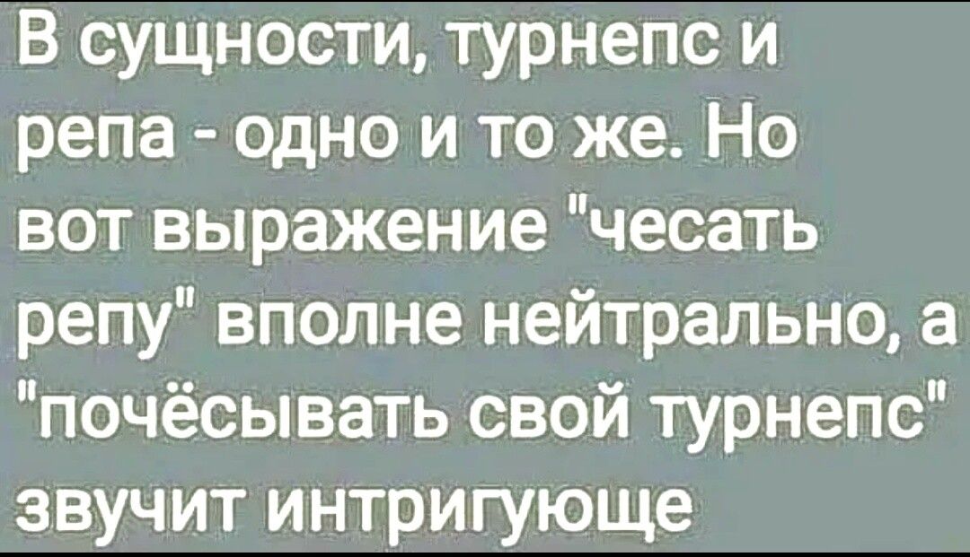 В сущности турнепс и репа одно и то же Но вот выражение чесать репу вполне нейтрально а почёсывать свой турнепс звучит интригующе