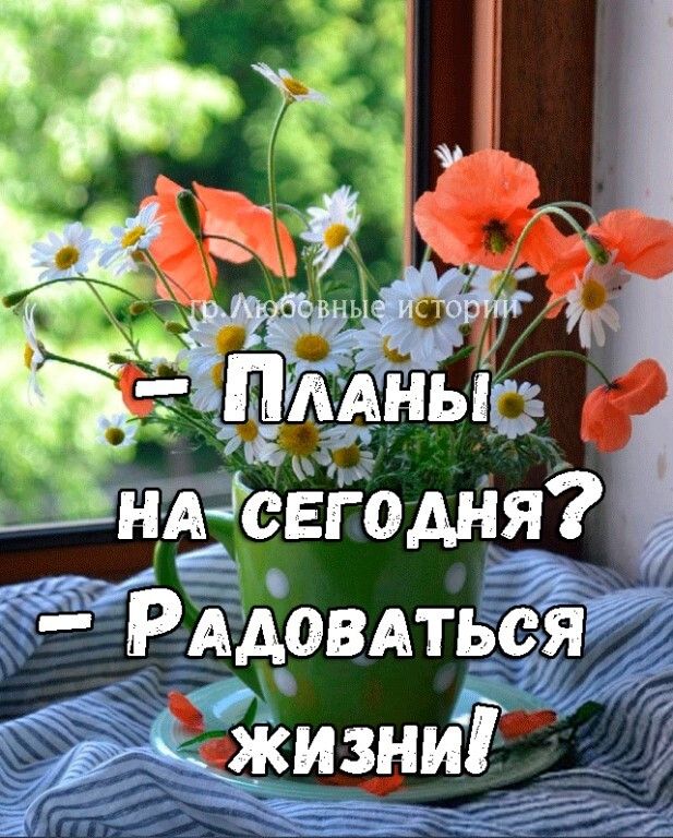 ндсвгодня _