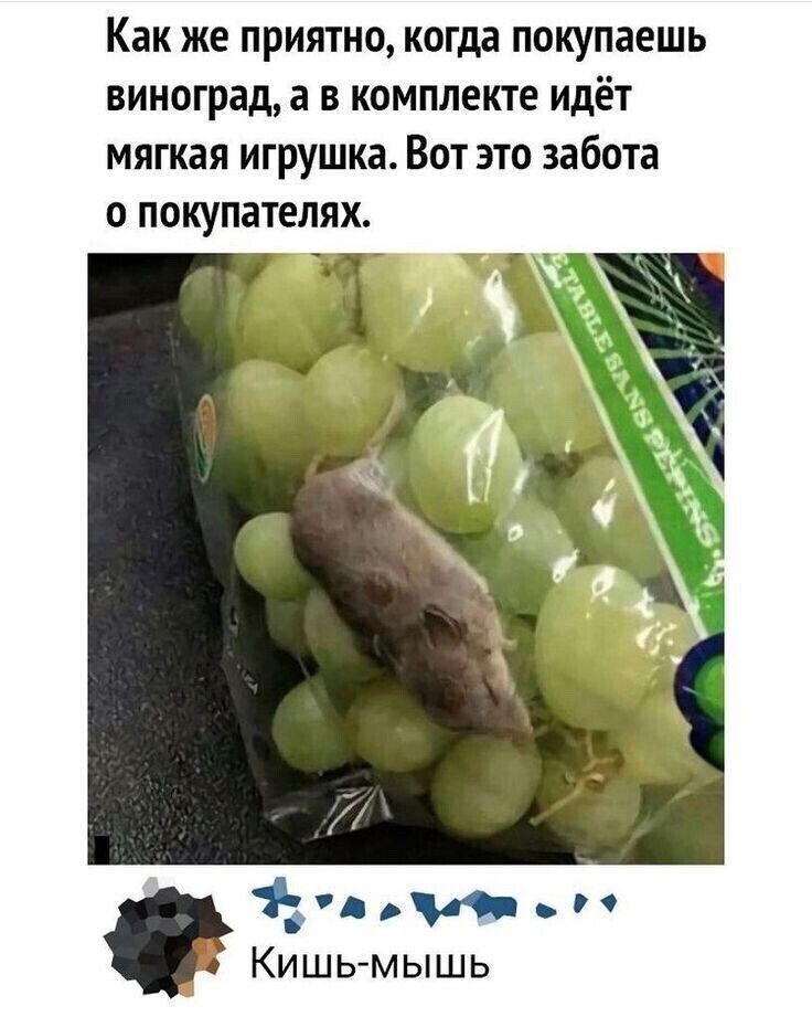 Как же приятно когда покупаешь виноград а в комплекте идёт мягкая игрушка Вот это забота о покупателях ш Кишь мышь
