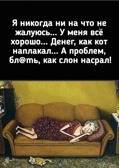 Я никогда ни на что не жалуюсь У меня всё хорошо денег как кот наплакал А проблем блть как слон насрал