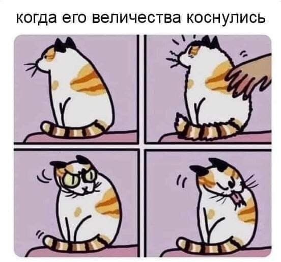 когда его ВЭПИЧЭСТВЭ КОСНУПИСЬ