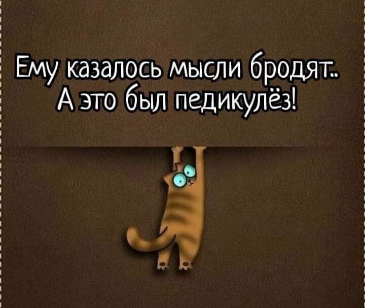 Ему казалось мысли бродят А это был педикулёз