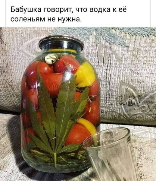 Бабушка говорит что водка к её СОЛЭНЬЯМ не нужна