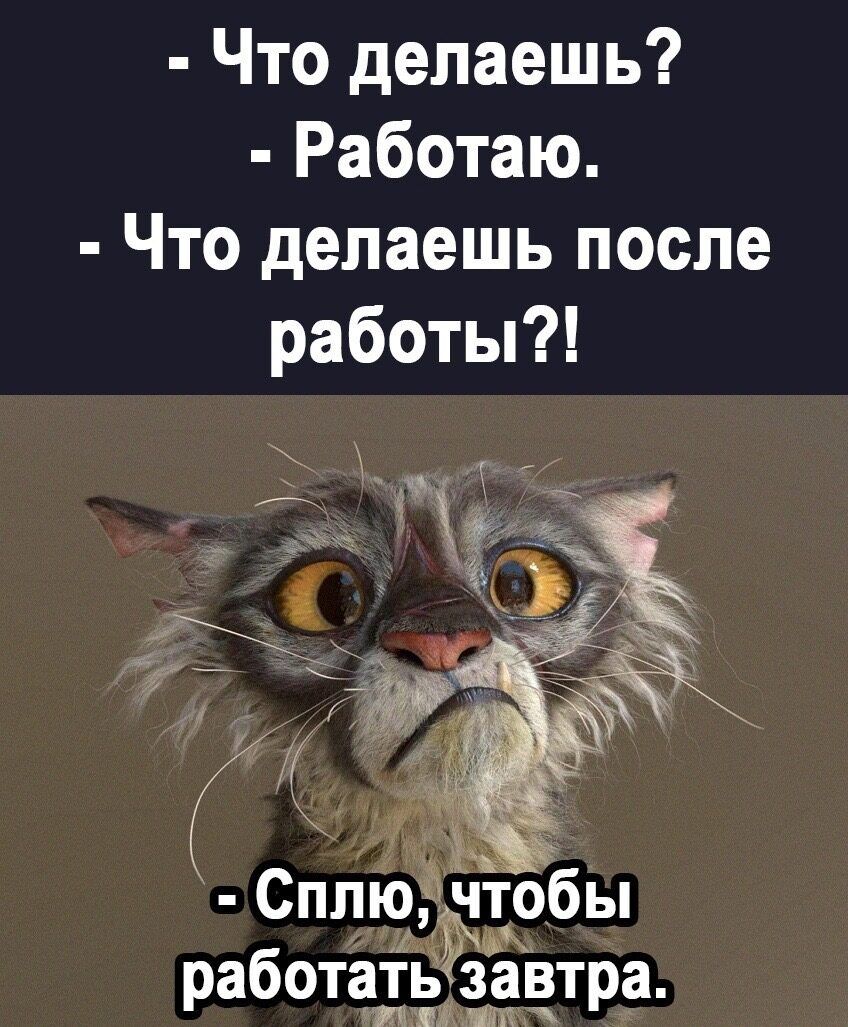 Что делаешь Работаю Что делаешь после работы _ Сплюііччт ы Юъм работатьзавтра