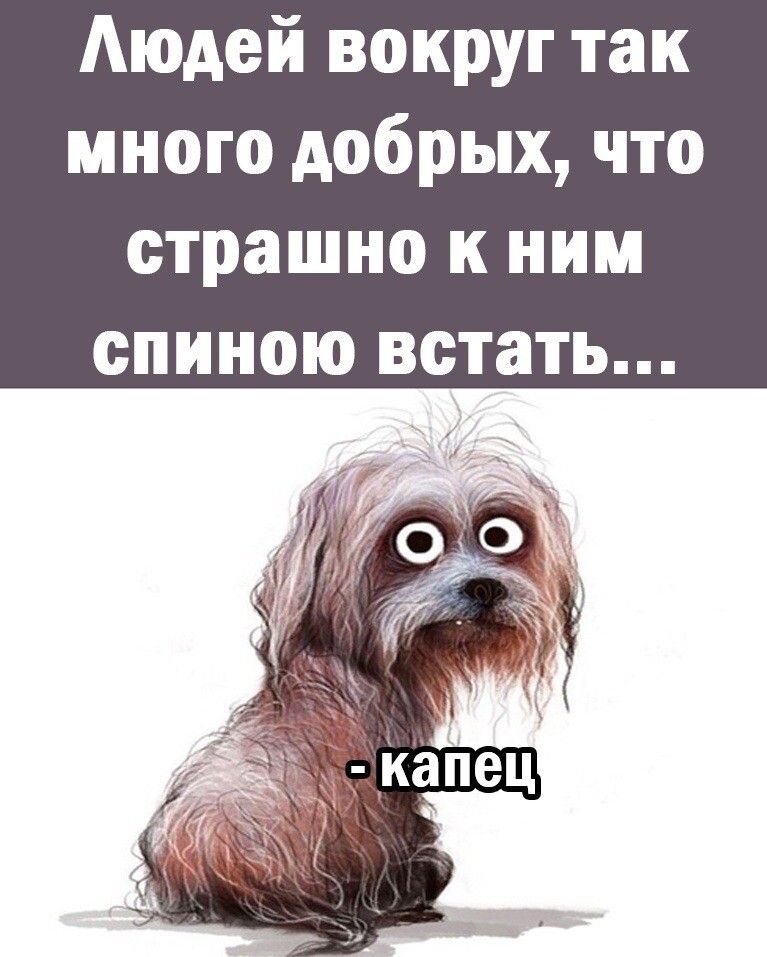 Аюдей вокруг так много добрых что страшно к ним спиною встать