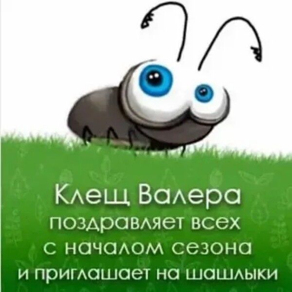 КАеЩ Всяхера ПОЗАрОВАЯЭТ всех НОЧОАОМ СЭЗОНО И приисшоет НО НОЦіАЫКИ