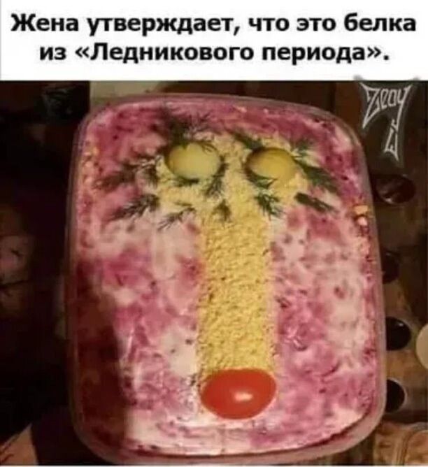 Жена утверждает что это белка из Ледникового периода