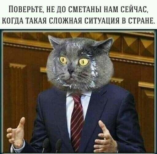 ПОНЕРЬТЕ НЕ ДО СМЕТАНЫ НАМ СЕЙЧАС КОГДА ТАКАЯ СЛОЖНАЯ СИТУАЦИЯ В СТР