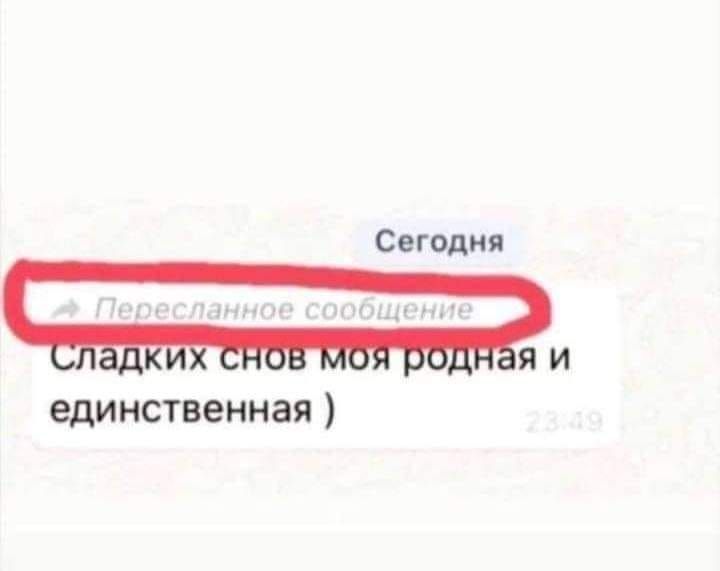 единственная Сегодня ЯИ