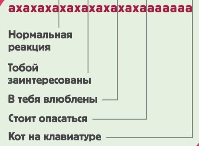 ахахвхтпх хах ах напав Нормальная реакция Тобой заинтереюваиы В тебя влюблены Стоит опаитыя Кот на клавиатуре А