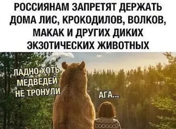 РОССИЯНАМ ЗАПРЕТЯТ дЕРЖАТЬ дОМА ЛИС КРОКОДИЛОВ ВОЛКОВ МАКАК И дРУГИХ дИКИХ ЭКЗОЗИЧЕСКИХ ЖИВОТНЫХ